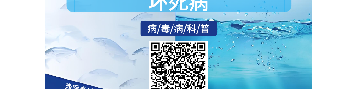 传染性皮下和造血组织坏死病-甲壳病毒病-会养虾学院