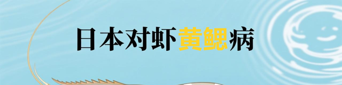 对虾黄鳃病