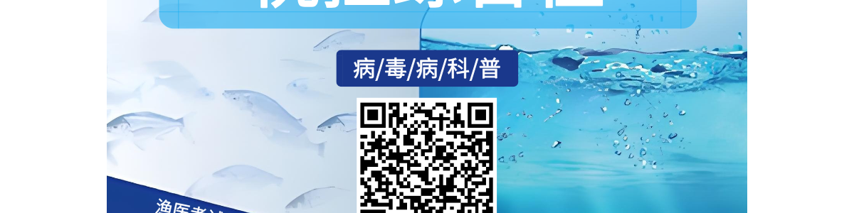 桃拉综合征-甲壳病毒病-会养虾学院